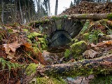 Abzugsrösche des 1. Lichtlochs vom Rothschönberger Stolln.
